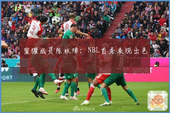 蜜獾成员陈玖璋：NBL首秀表现出色